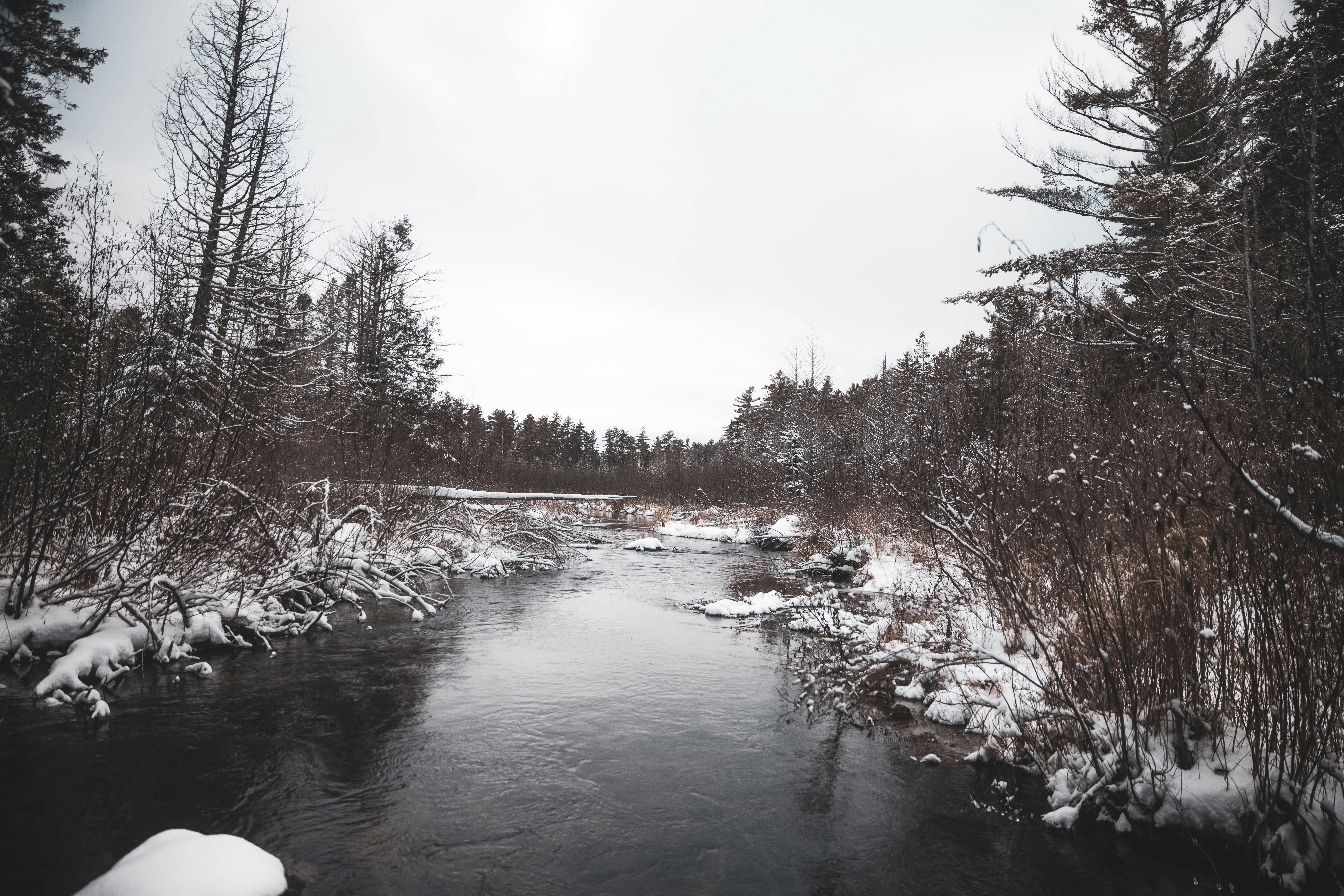 Photo by bradydrogers