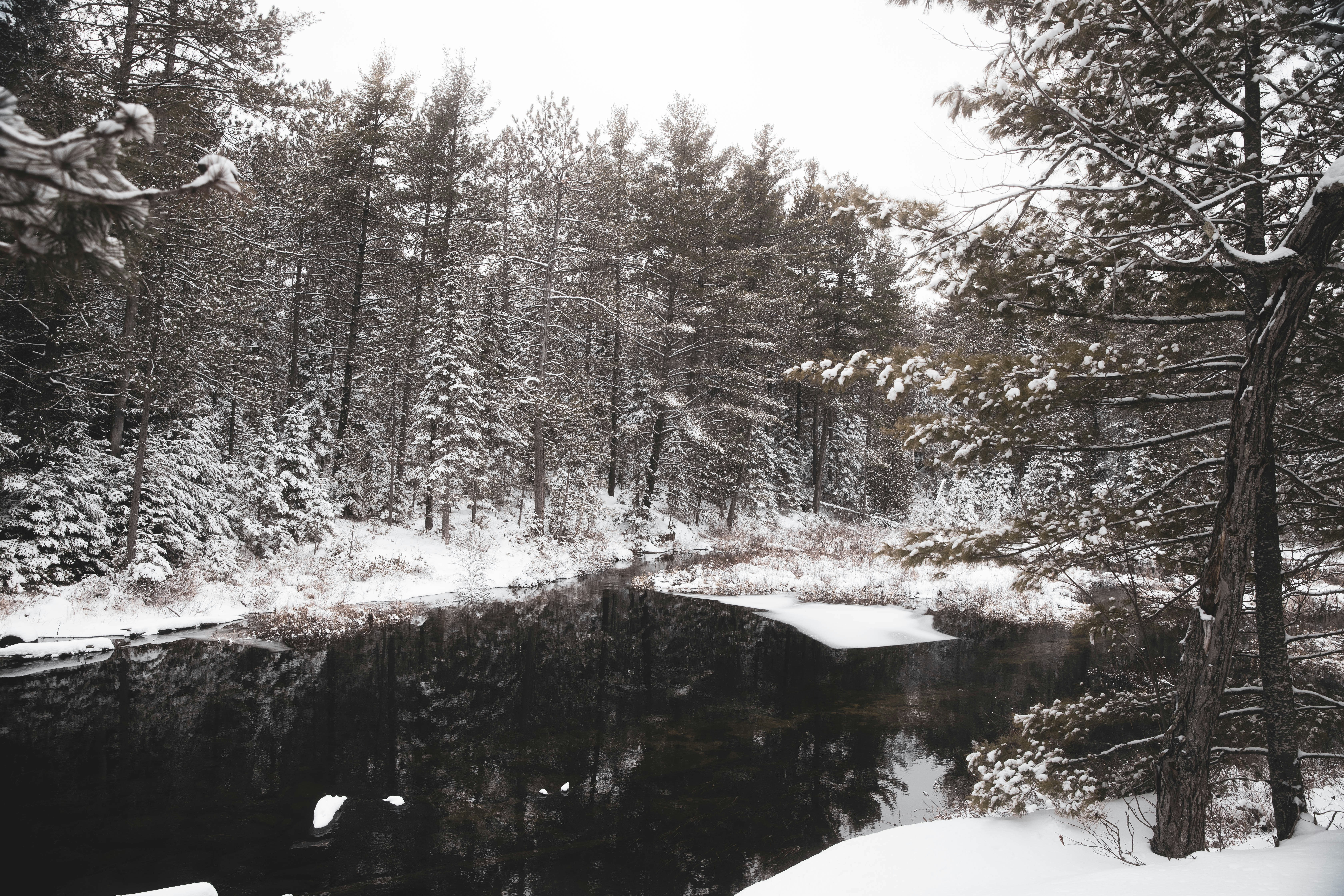 Photo by bradydrogers