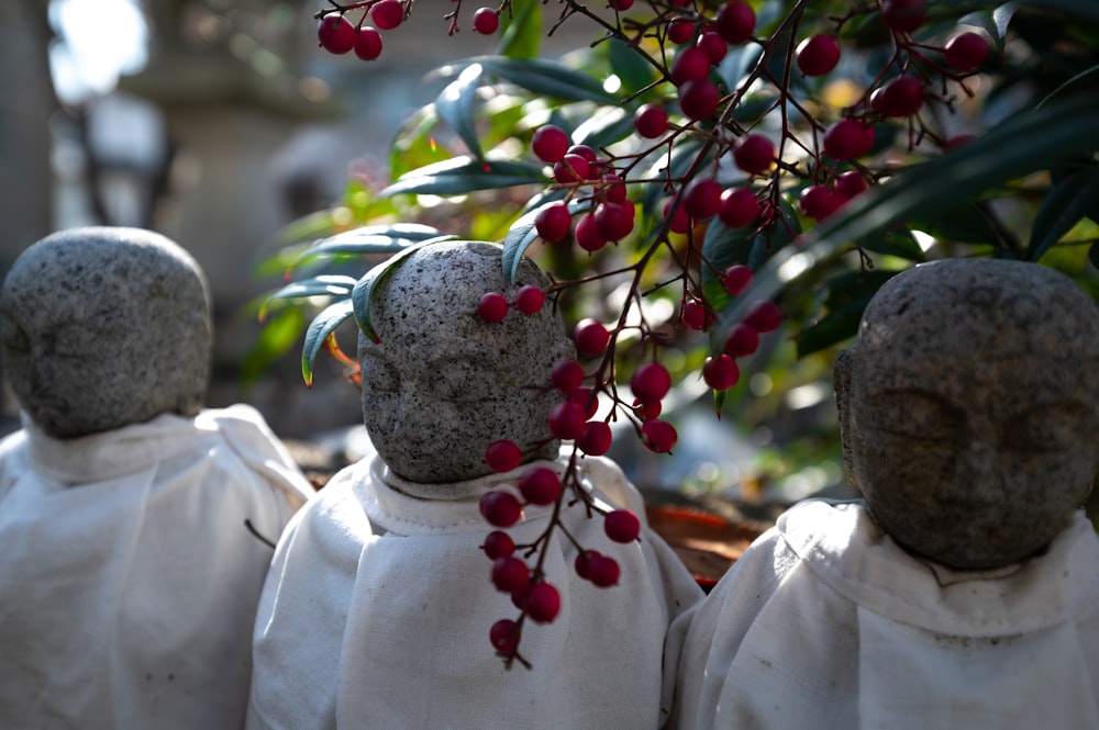 personne en chemise blanche à manches longues tenant des fruits verts pendant la journée