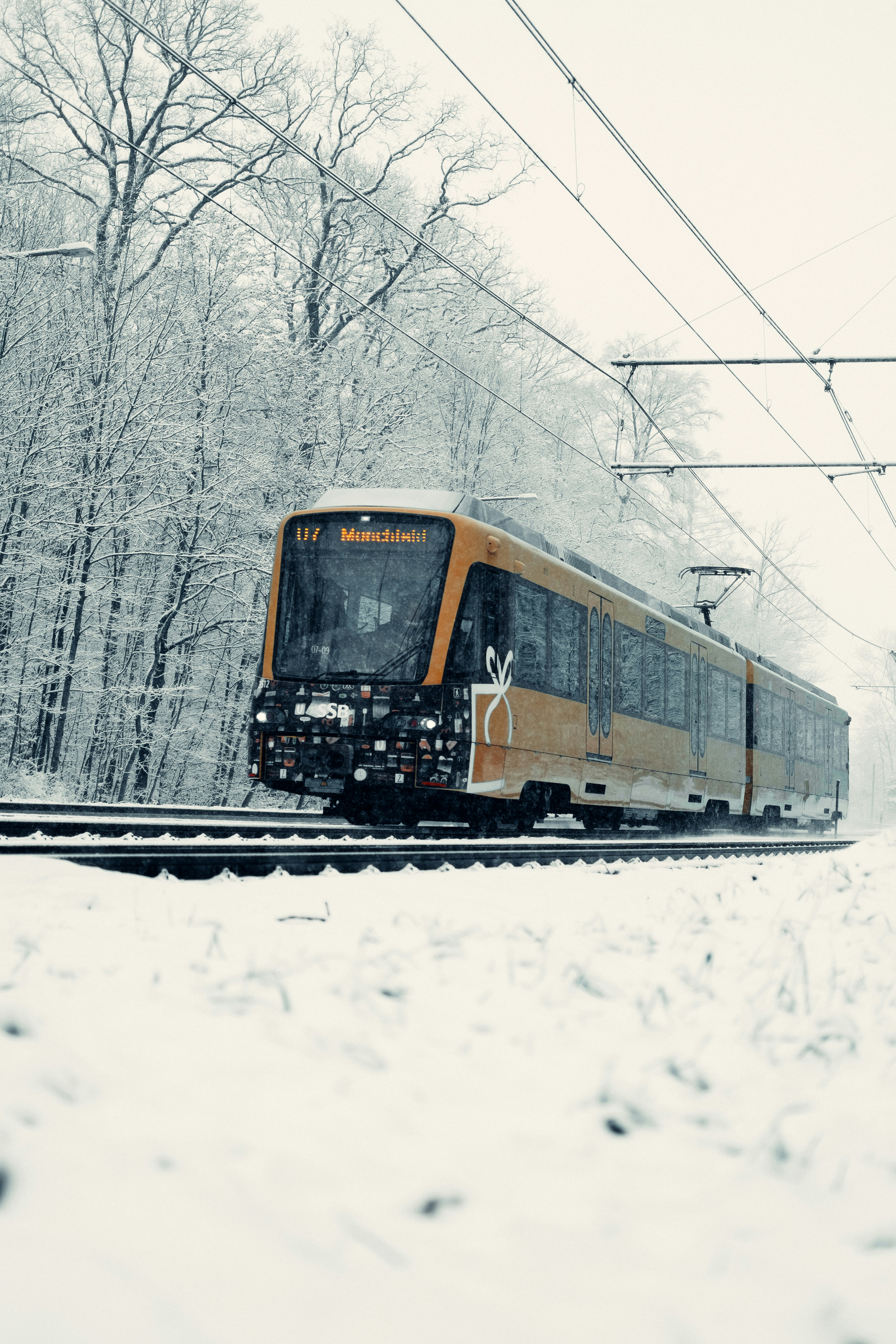 Stuttgart – Geography & Spatial Structure