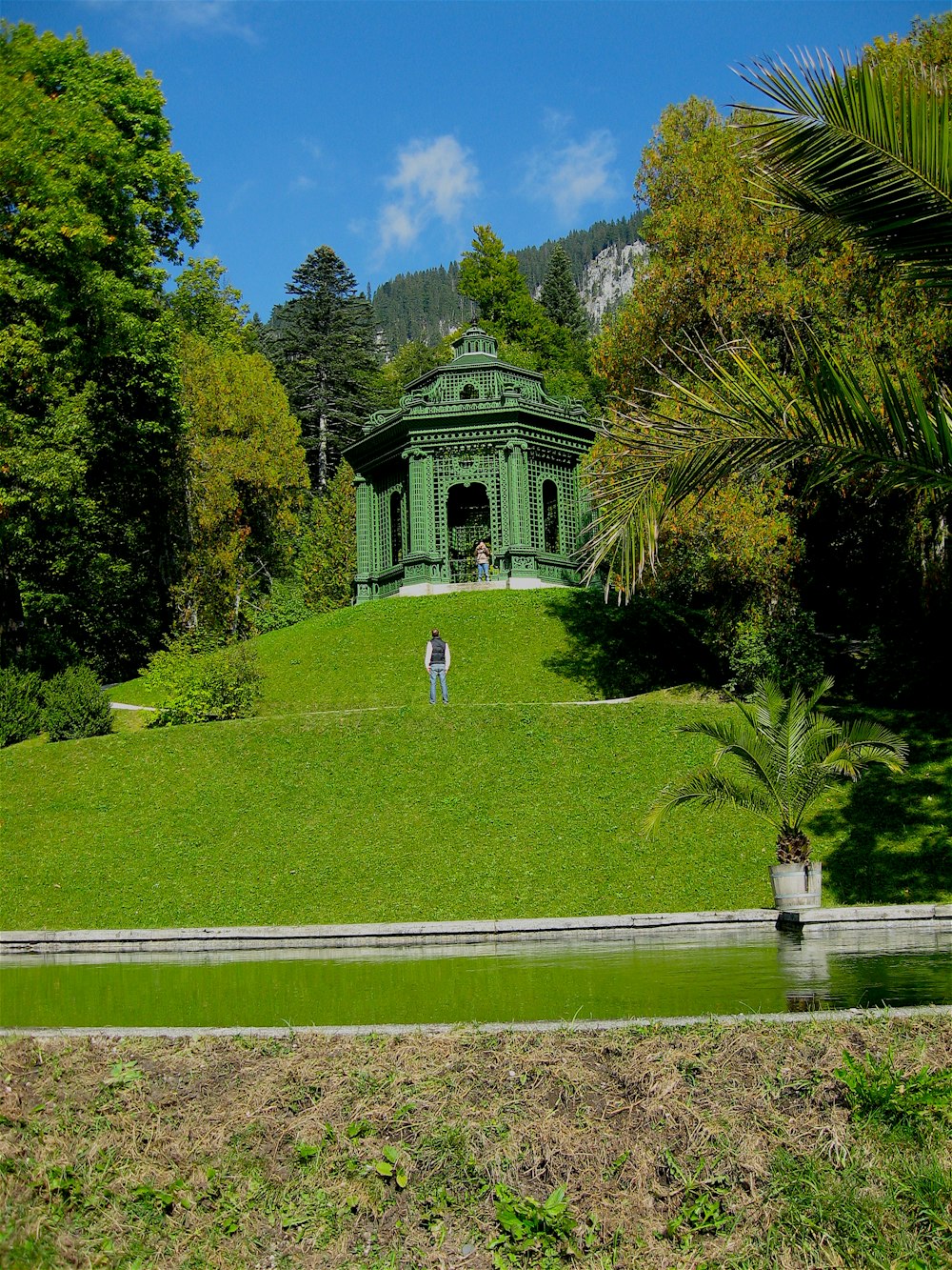 people walking on pathway near green grass field during daytime