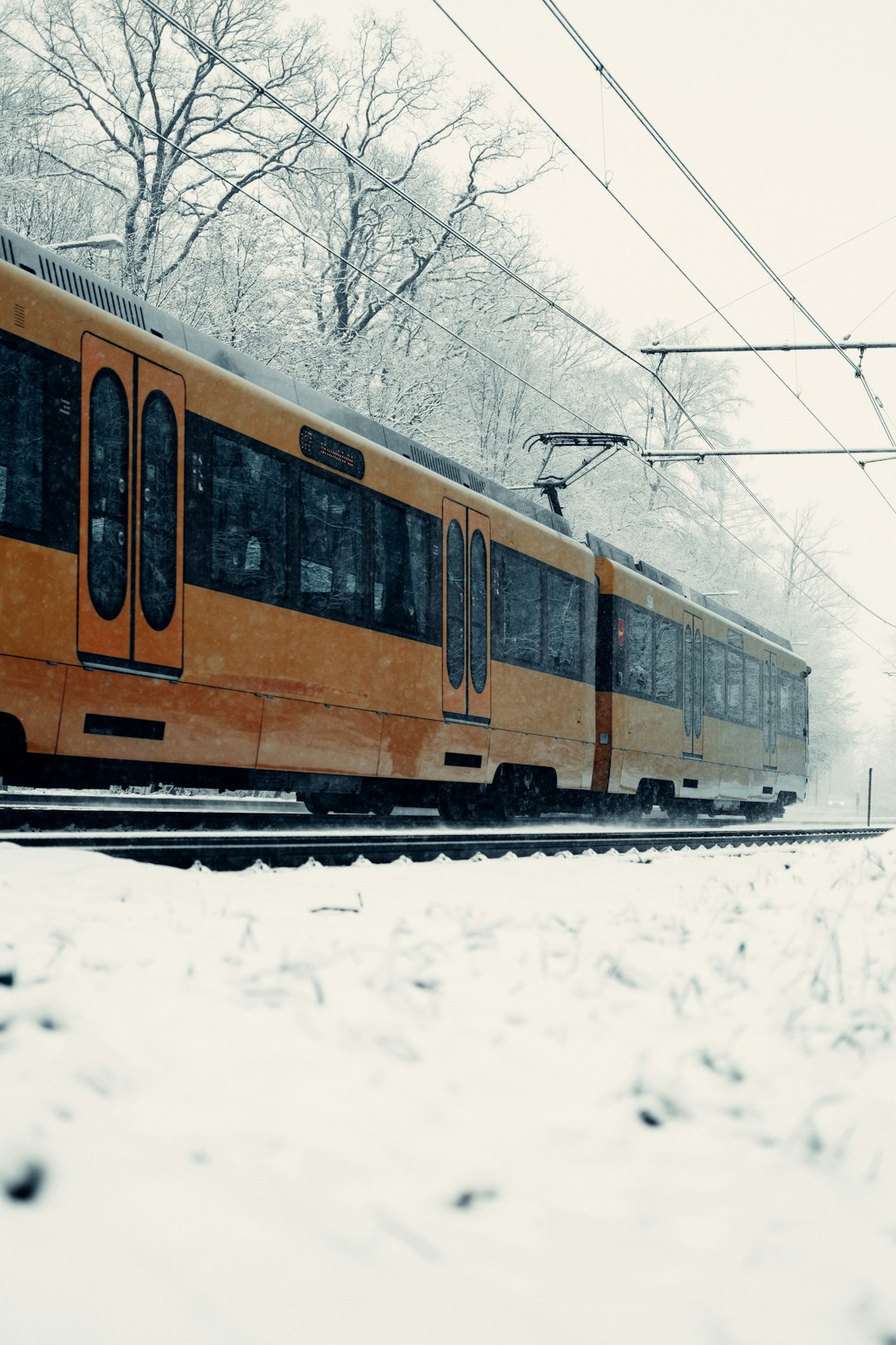yellow and black train on snow covered ground