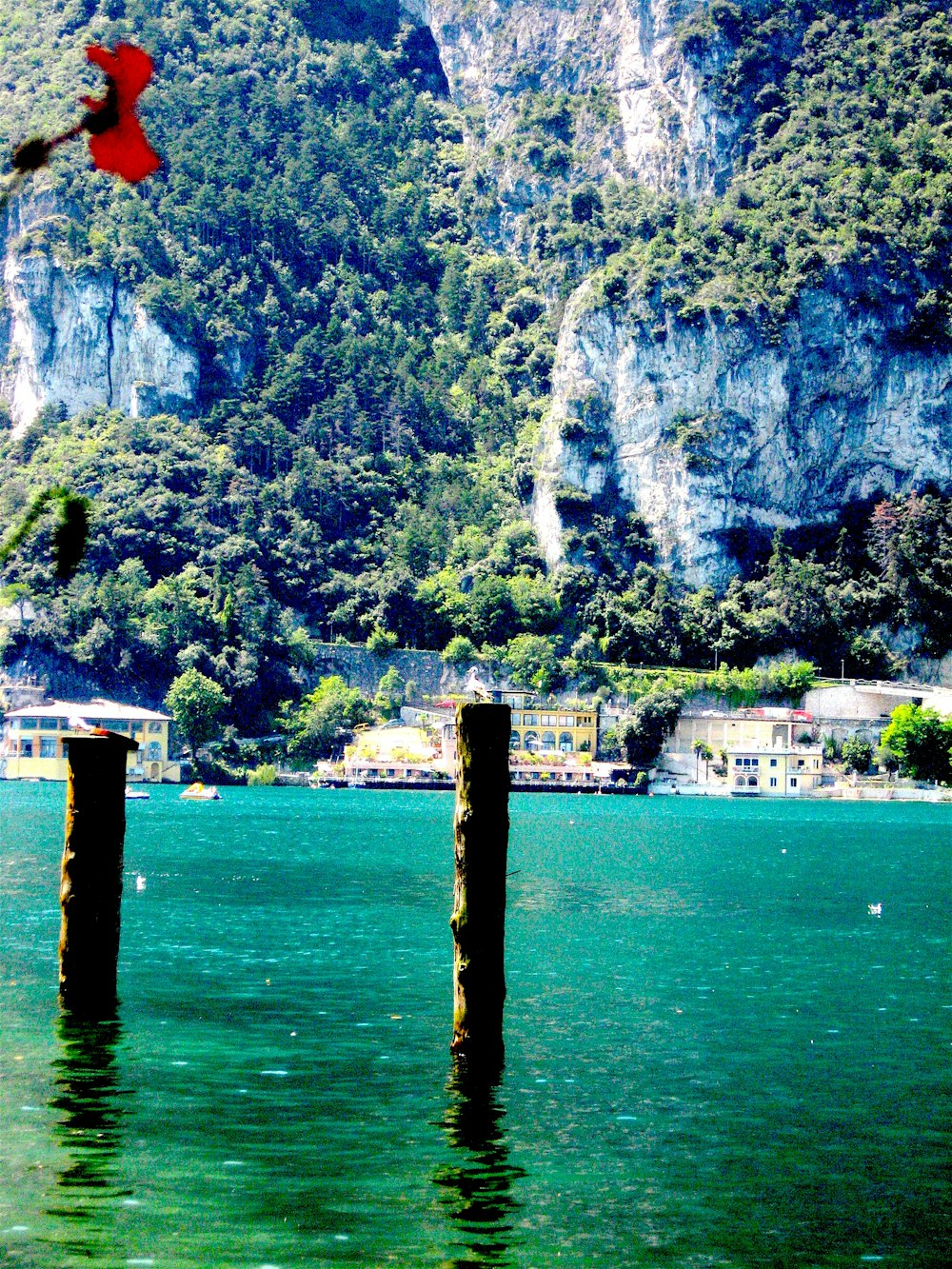 body of water near green trees during daytime