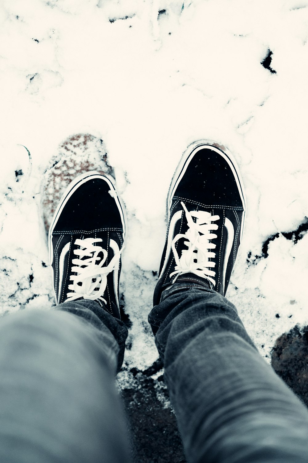 person in gray pants wearing blue and white converse all star sneakers  photo – Free Stuttgart Image on Unsplash