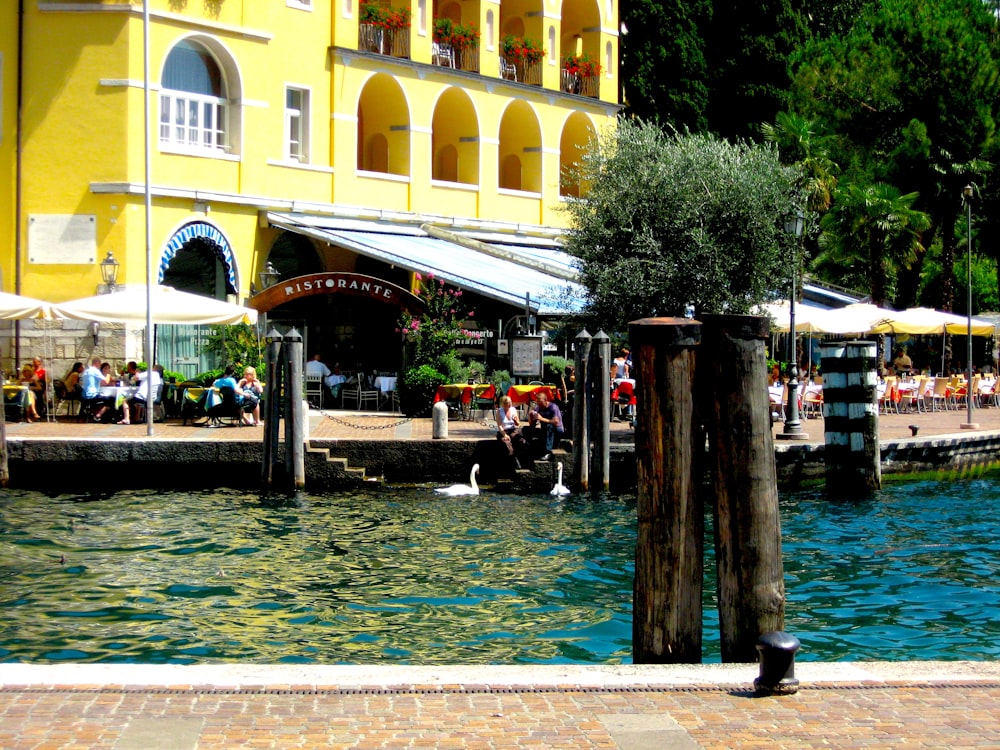 people walking on sidewalk near body of water during daytime