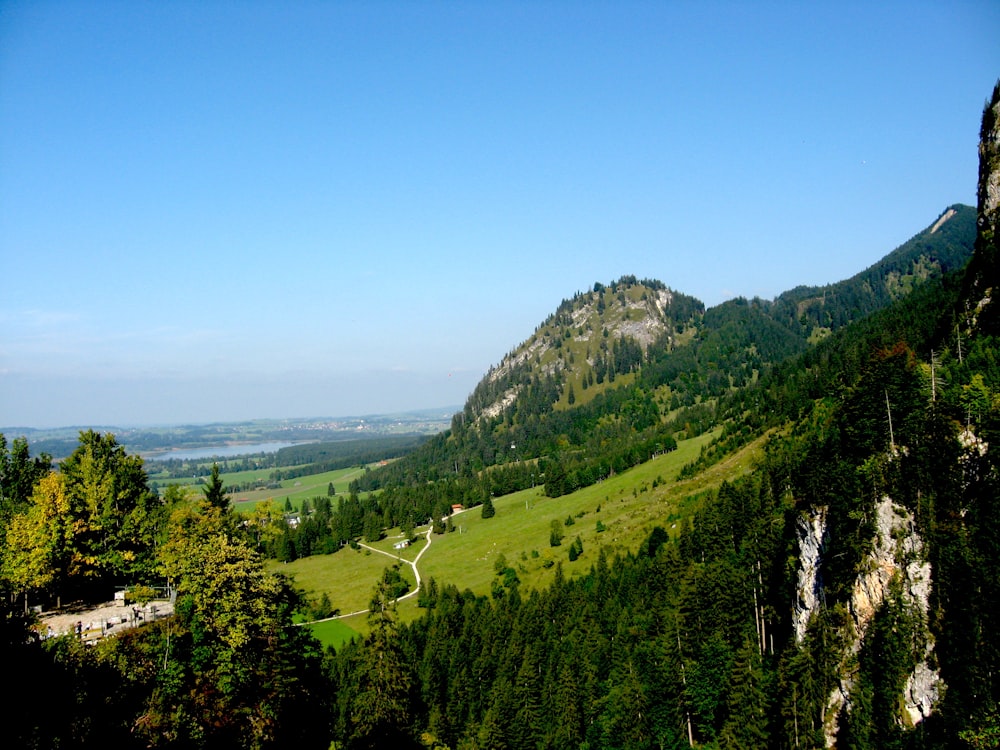 green trees on mountain under blue sky during daytime