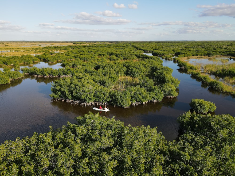 green trees near lake under blue sky during daytime