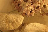 A close-up view of an arrangement of marine life, featuring barnacles with a reddish tinge and coral with intricate textures. The objects rest on a reflective surface, highlighting their unique shapes and patterns.