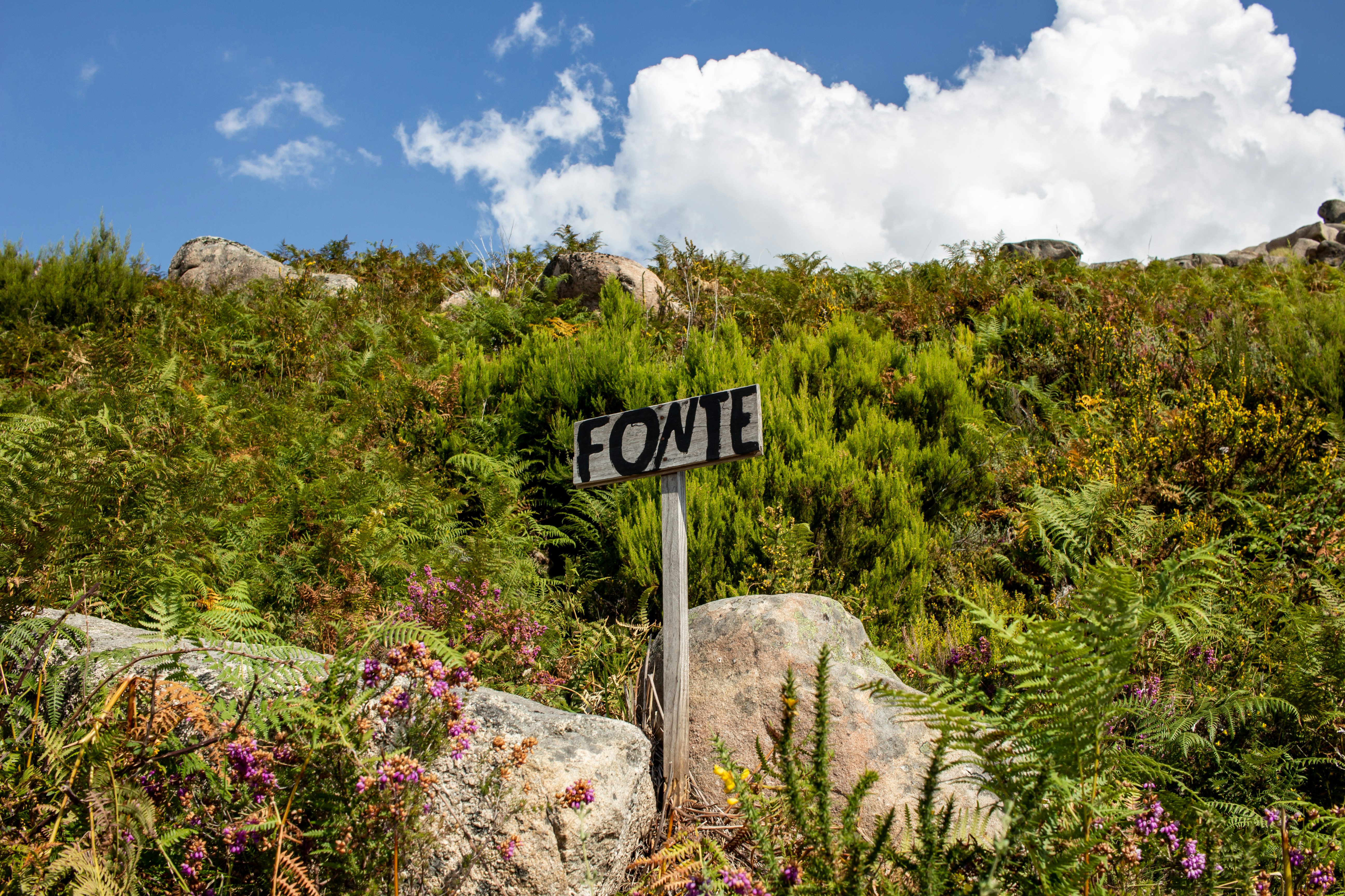 Discover the Natural Wonders of Peneda-Gerês National Park