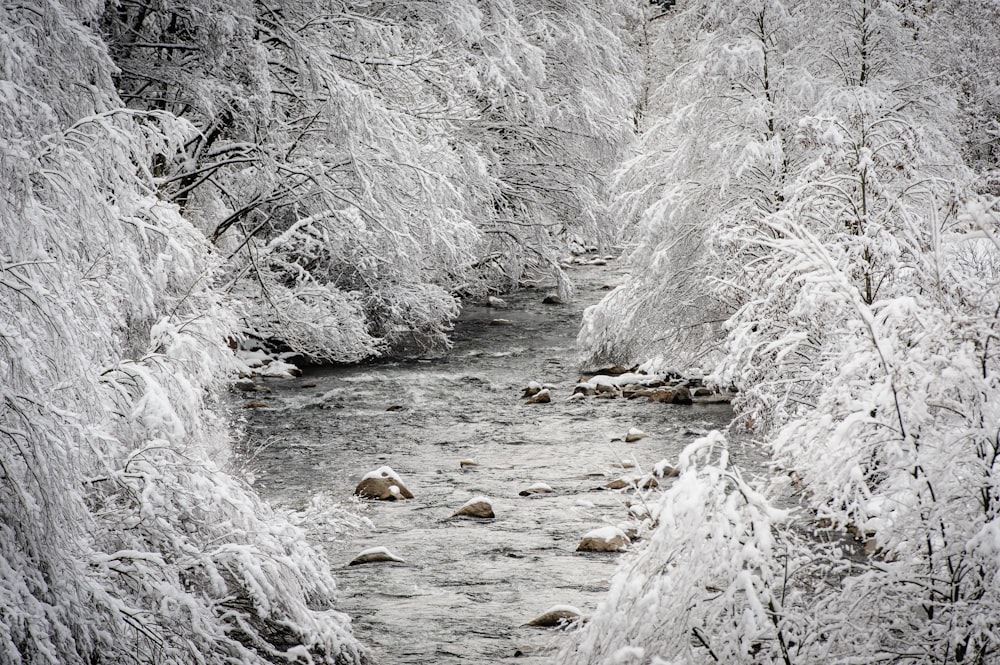 gray scale photo of river