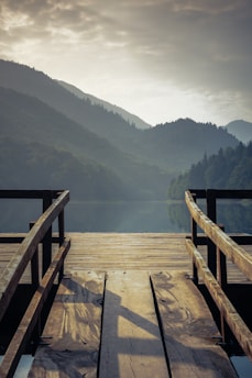 brown wooden dock on lake during daytime