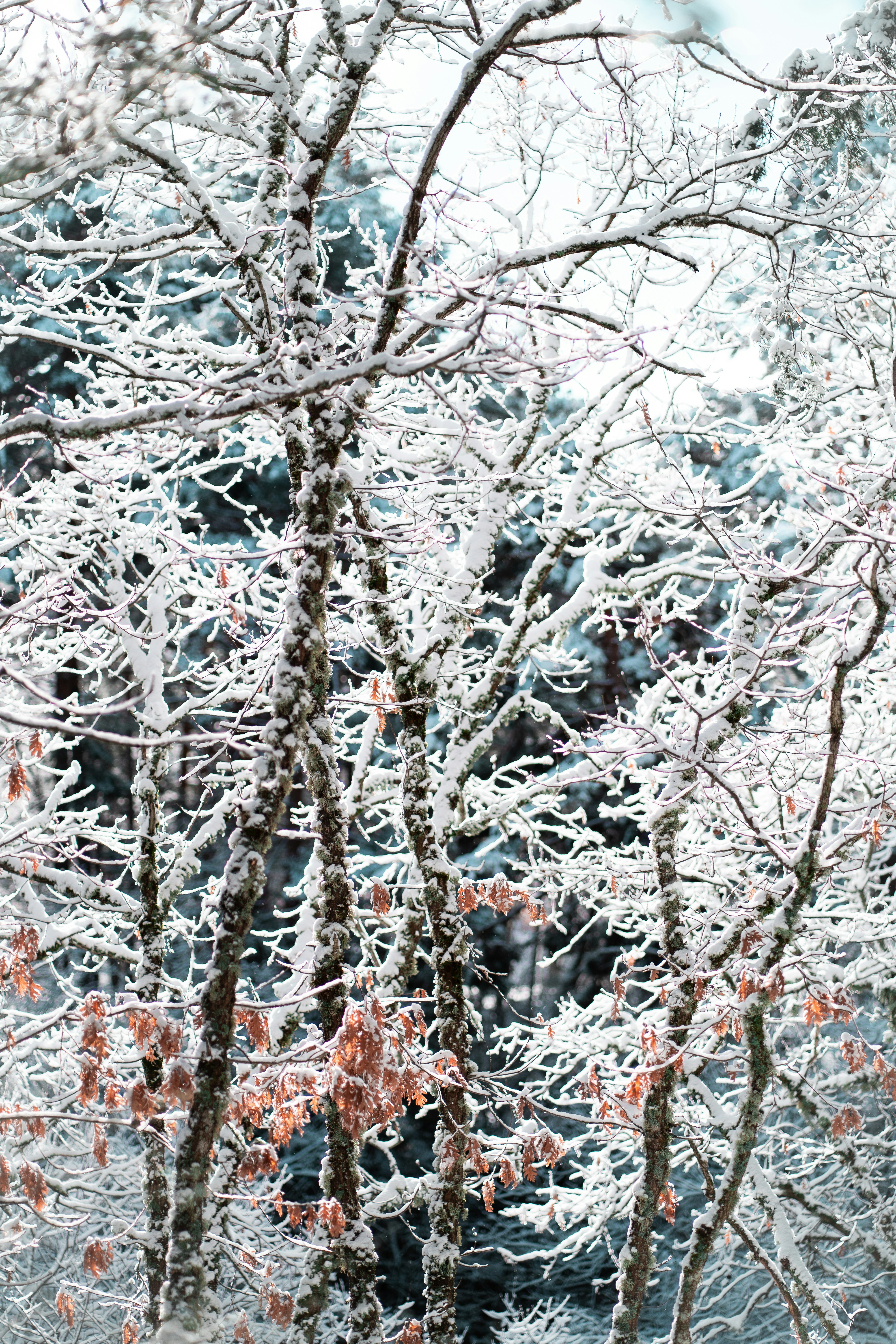 Photo by albertohlfrias