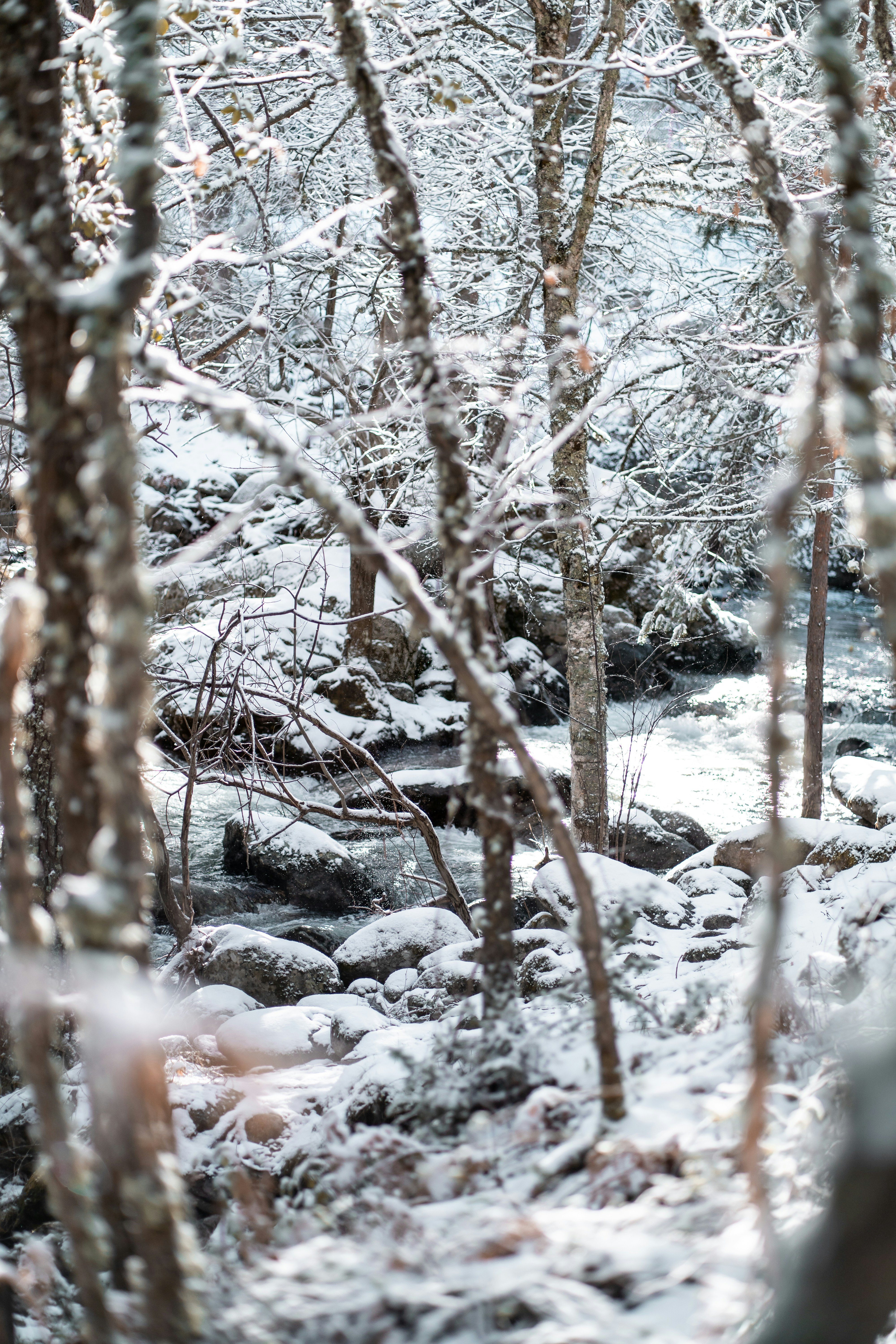 Photo by albertohlfrias