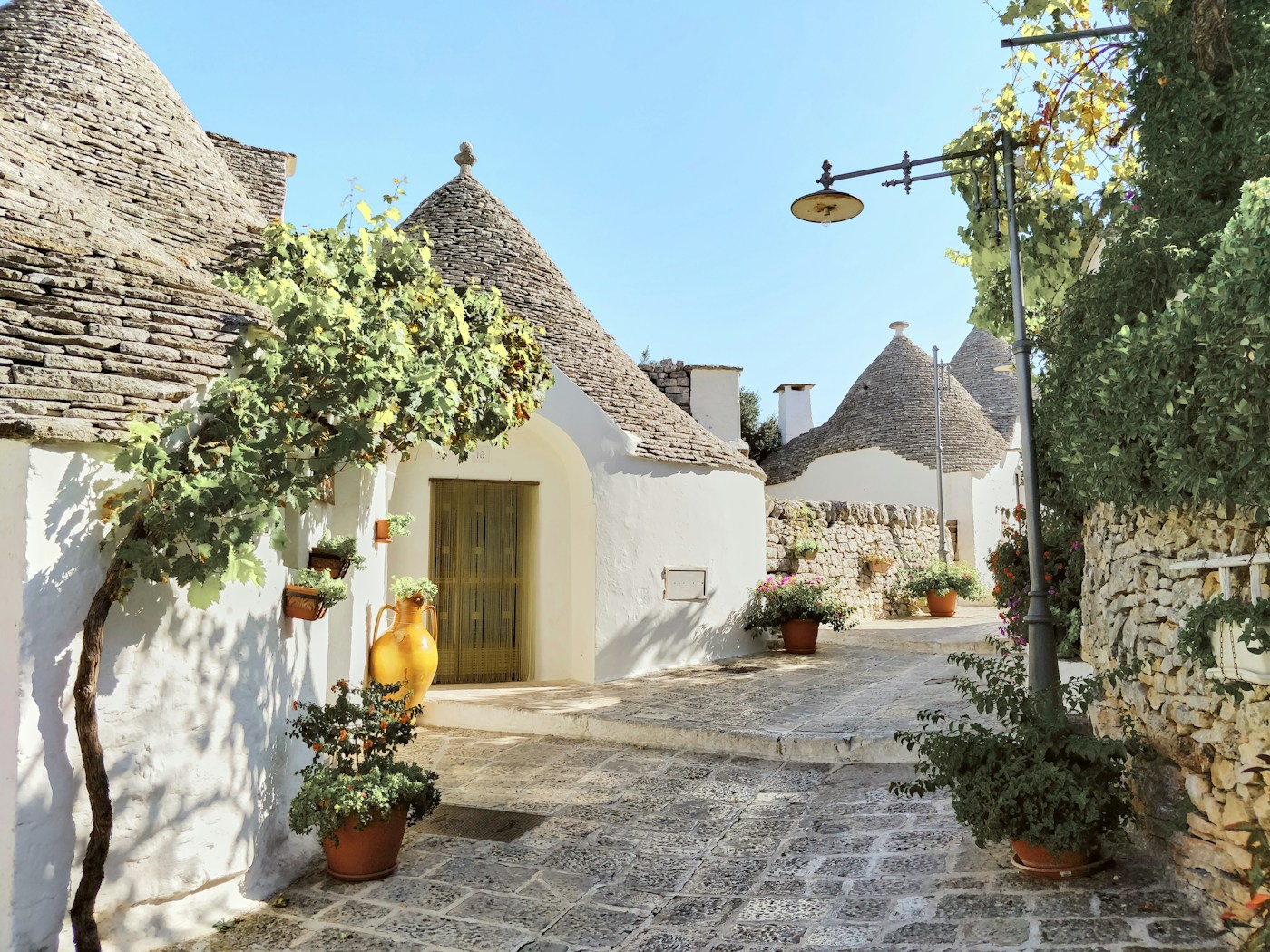 Masseria Alchimia