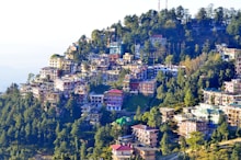 aerial view of city during daytime