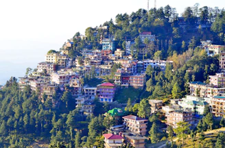 aerial view of city during daytime