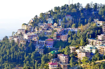 aerial view of city during daytime