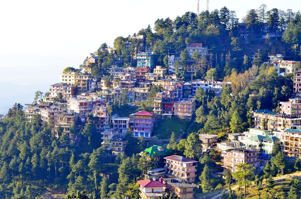 aerial view of city during daytime