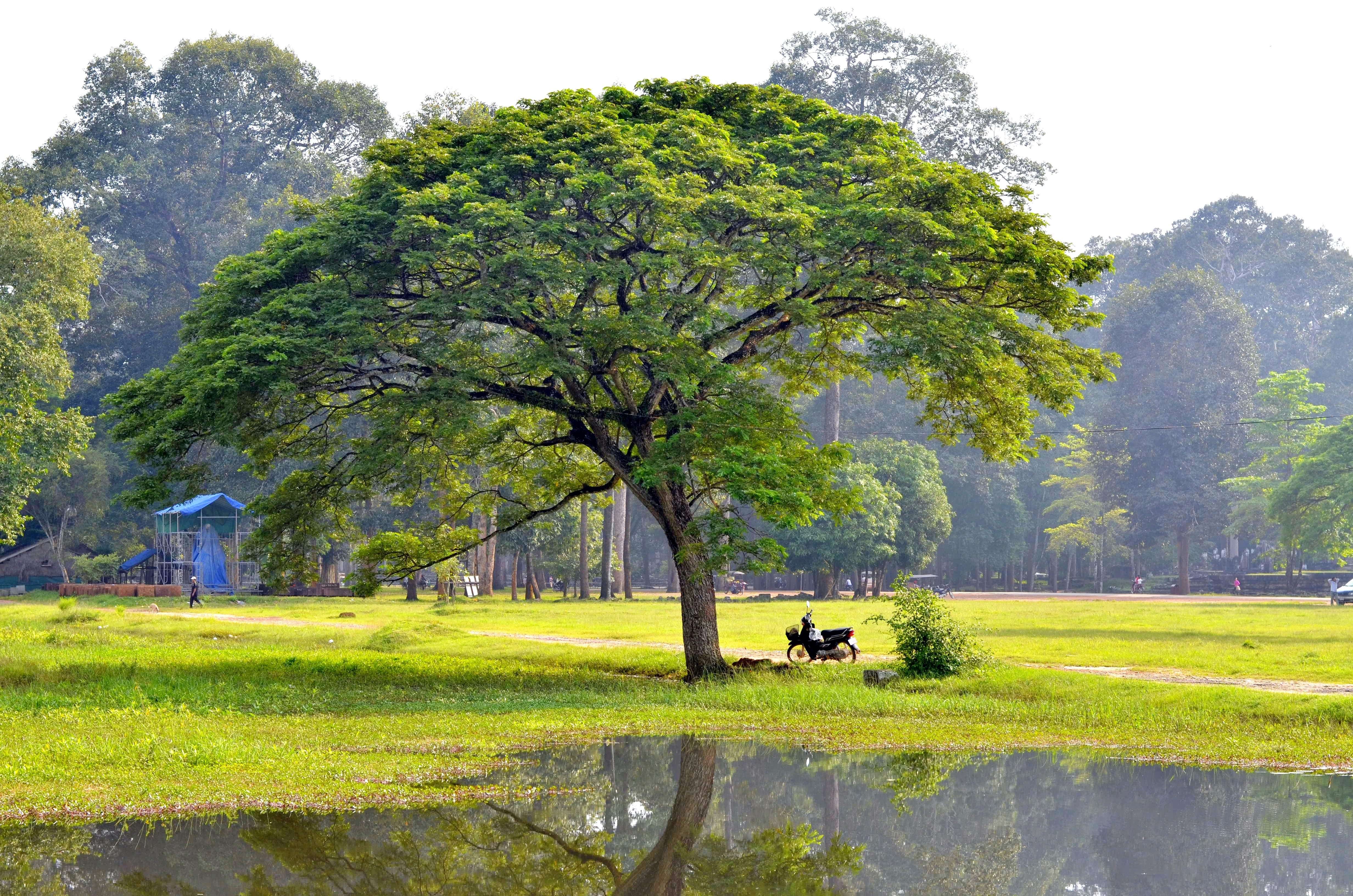 Photo by travelphotographer