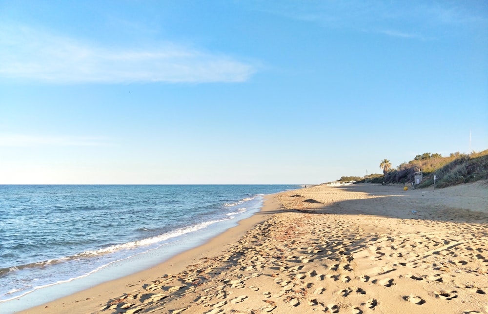 brown sand beach during daytime