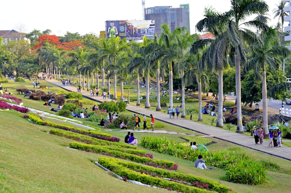 people walking on green grass field near green trees and buildings during daytime