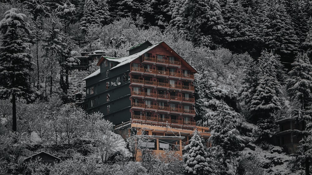 brown wooden house covered with snow