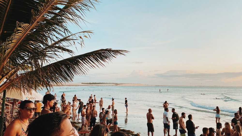 Gente en la playa durante el día