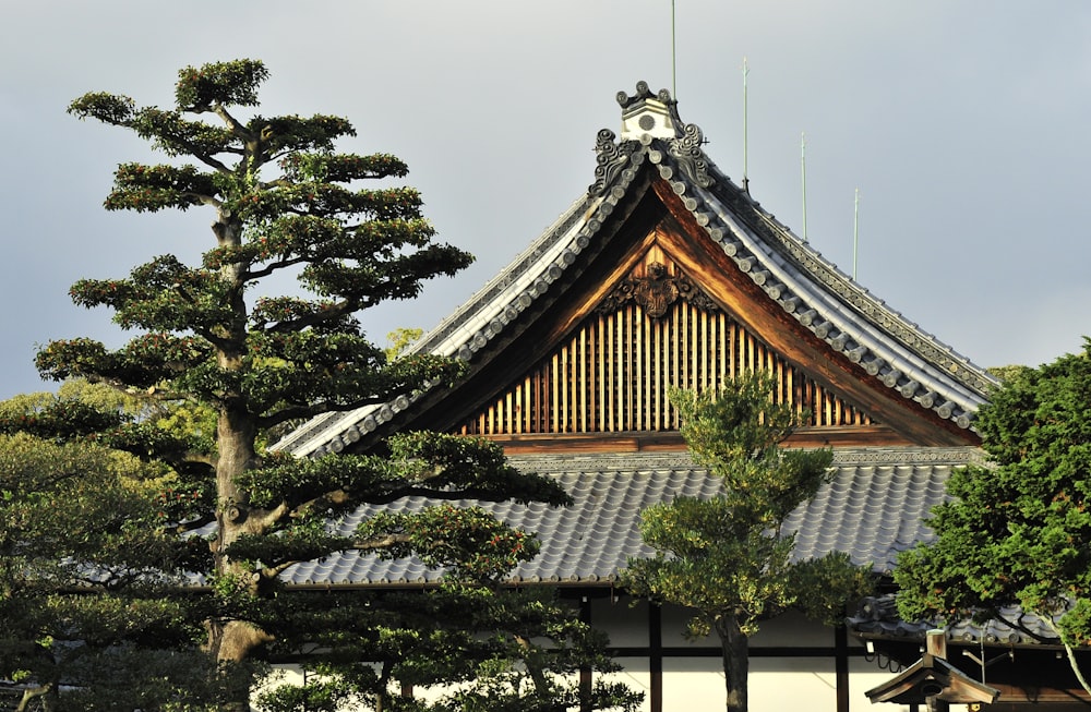 brown and white pagoda temple