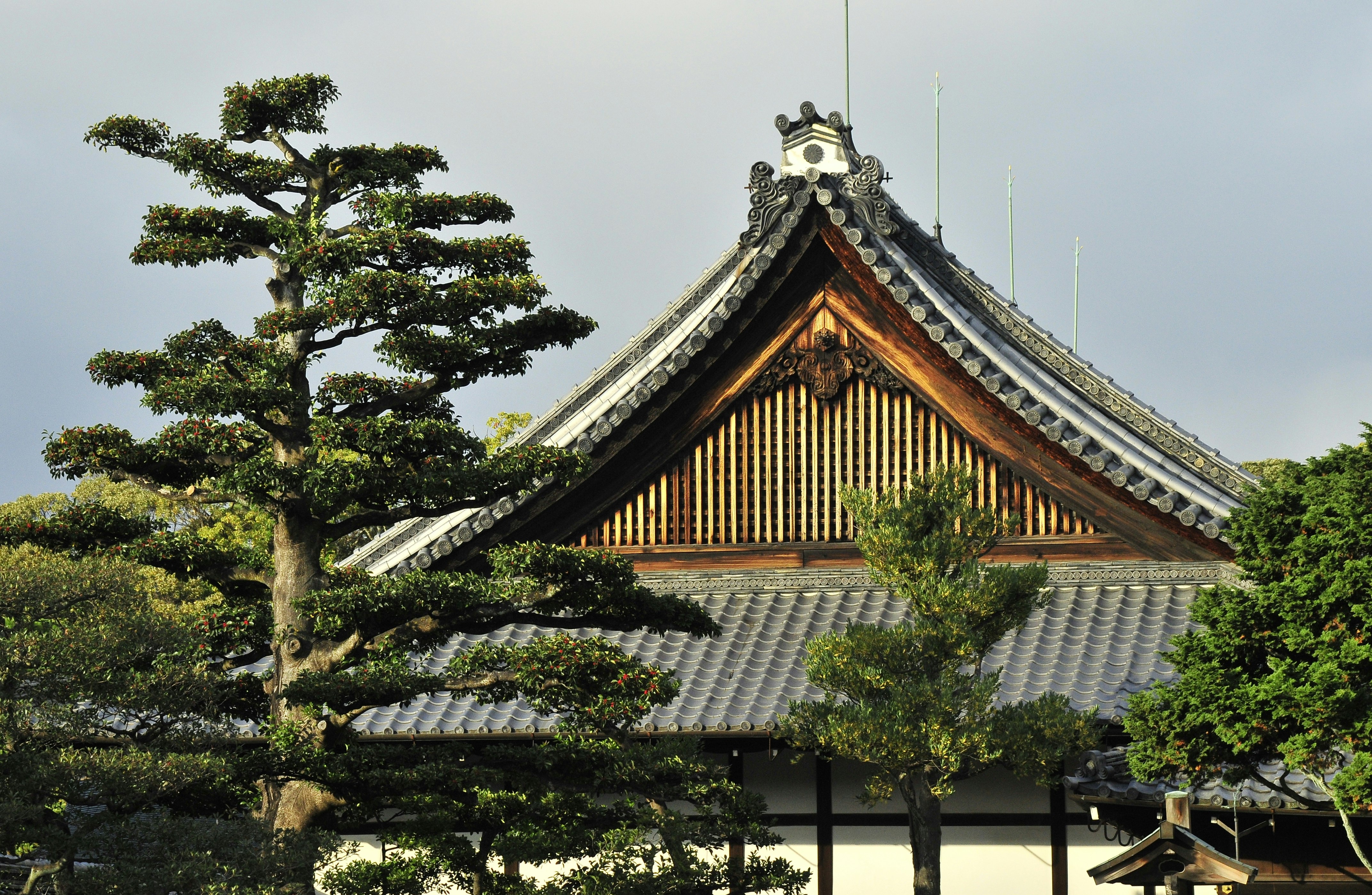 Ninomaru Garden adjoining the Ninomaru Palace at the Nijō Castle park ground.