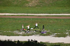 people on green grass field during daytime