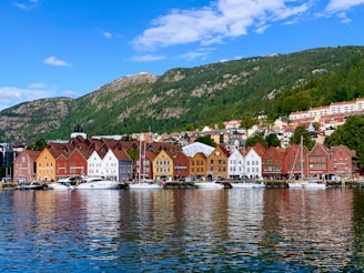 houses near body of water under blue sky during daytime