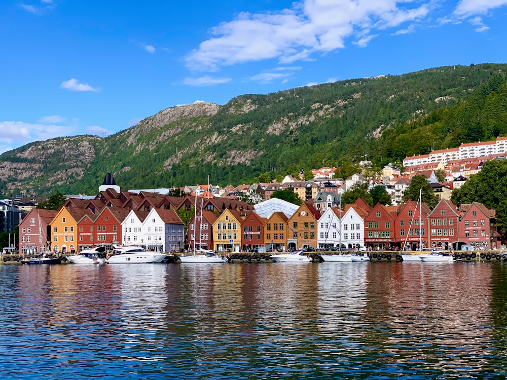 houses near body of water under blue sky during daytime