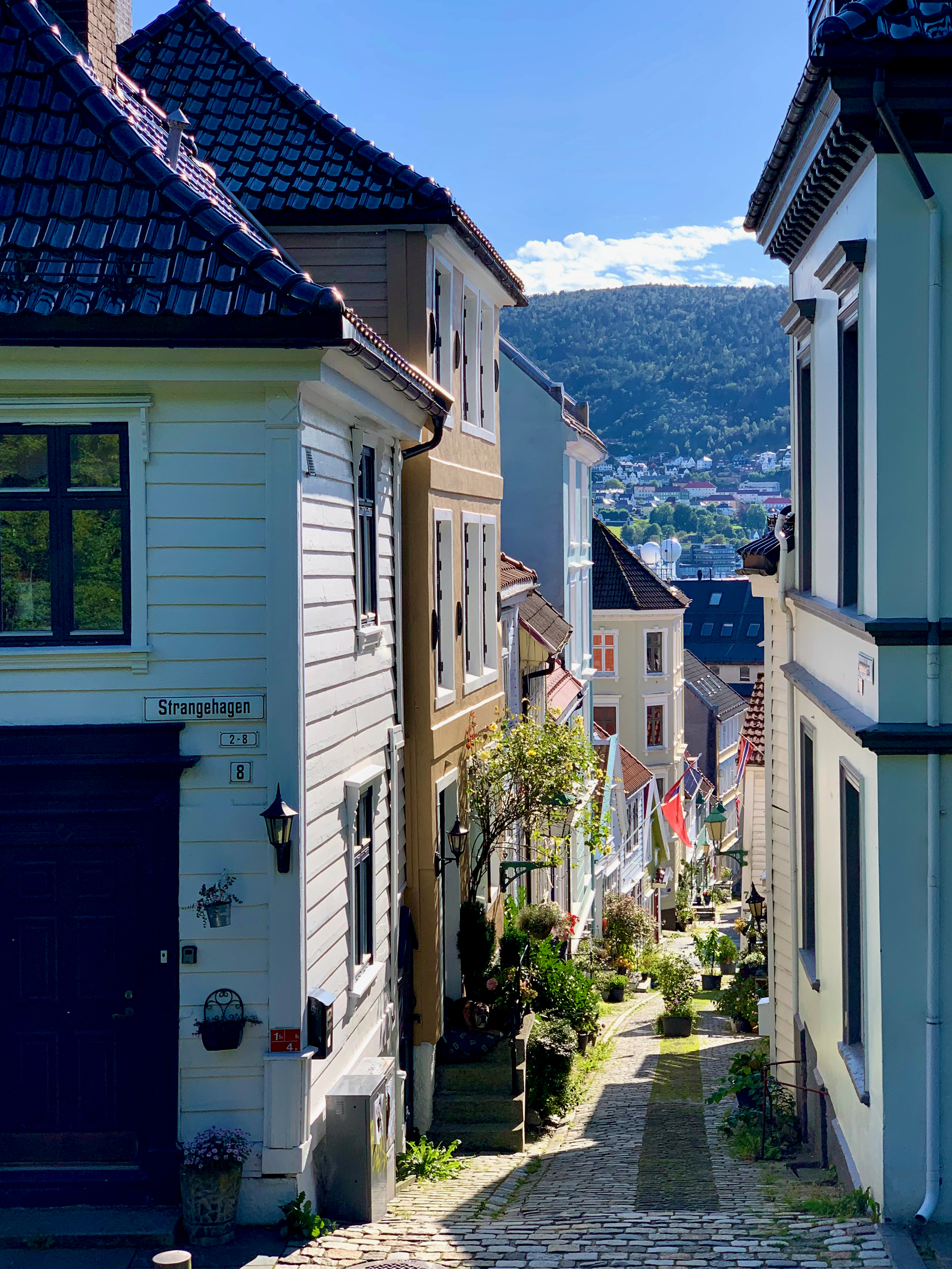 A cobbled lane of white and cream timber houses in Bergen's Nordnes quarter, strung with small flags and lined with potted plants, dropping towards the city and its wooded mountain at the end of the street.