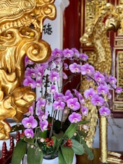 Purple orchids arranged in a white pot are in the foreground, surrounded by ornate gold carvings with an intricately designed backdrop featuring text in an Asian script. Some red berries are visible among the green leaves of the plant.