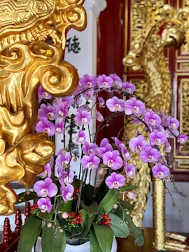 Purple orchids arranged in a white pot are in the foreground, surrounded by ornate gold carvings with an intricately designed backdrop featuring text in an Asian script. Some red berries are visible among the green leaves of the plant.