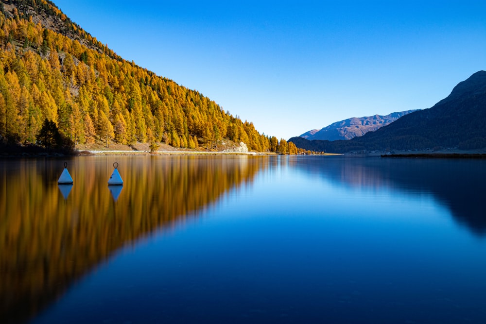 lake in the middle of forest during daytime