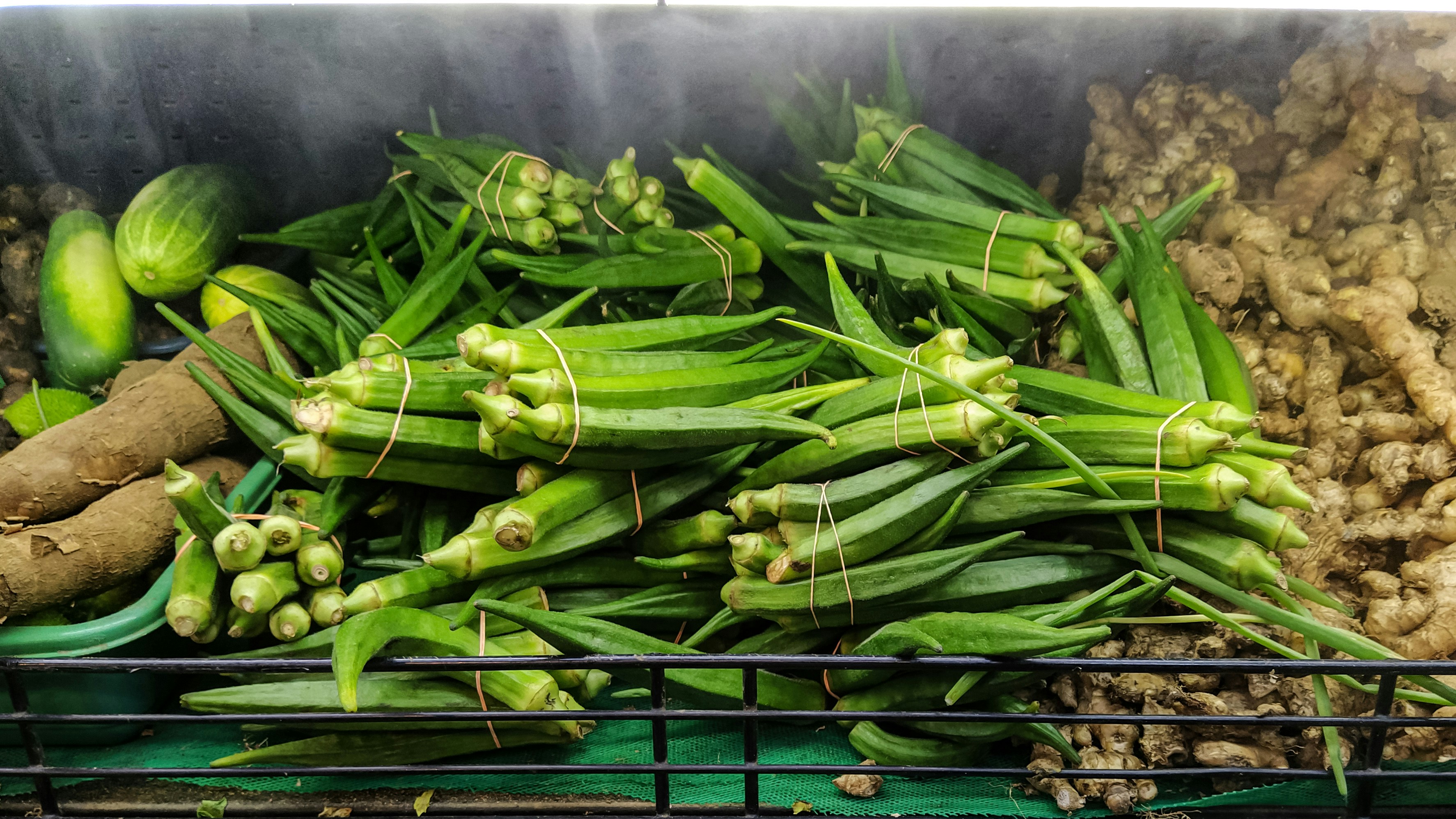 Green chili on green plastic container