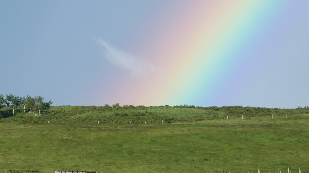 green grass field under blue sky during daytime