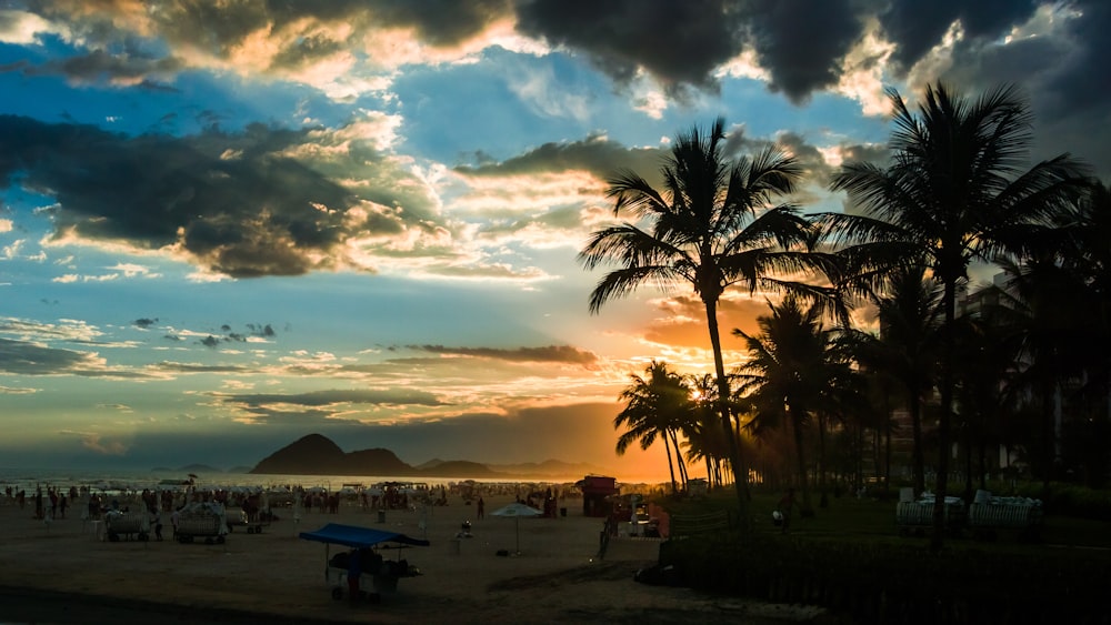 people on beach during sunset