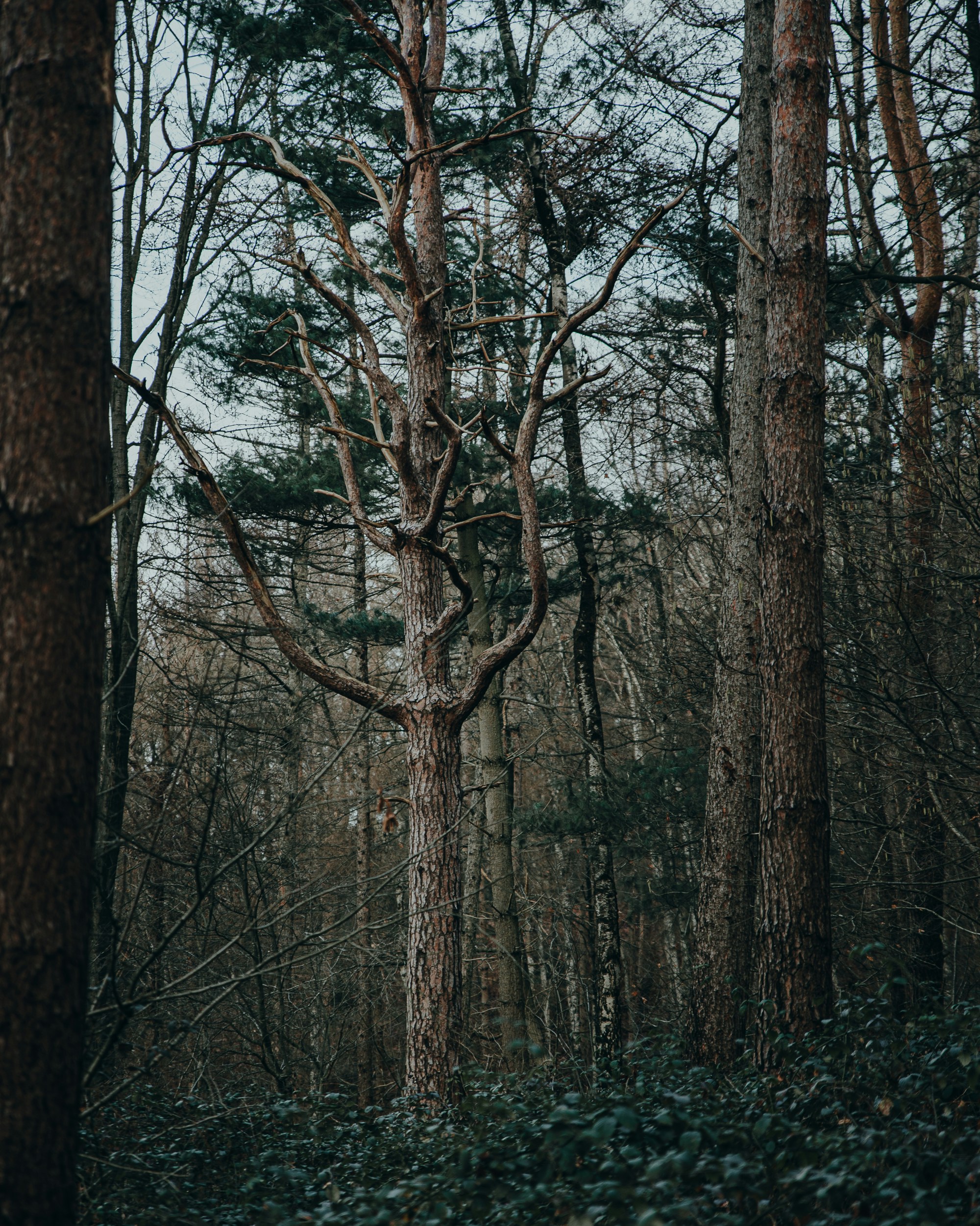 Photo by michaeloeser