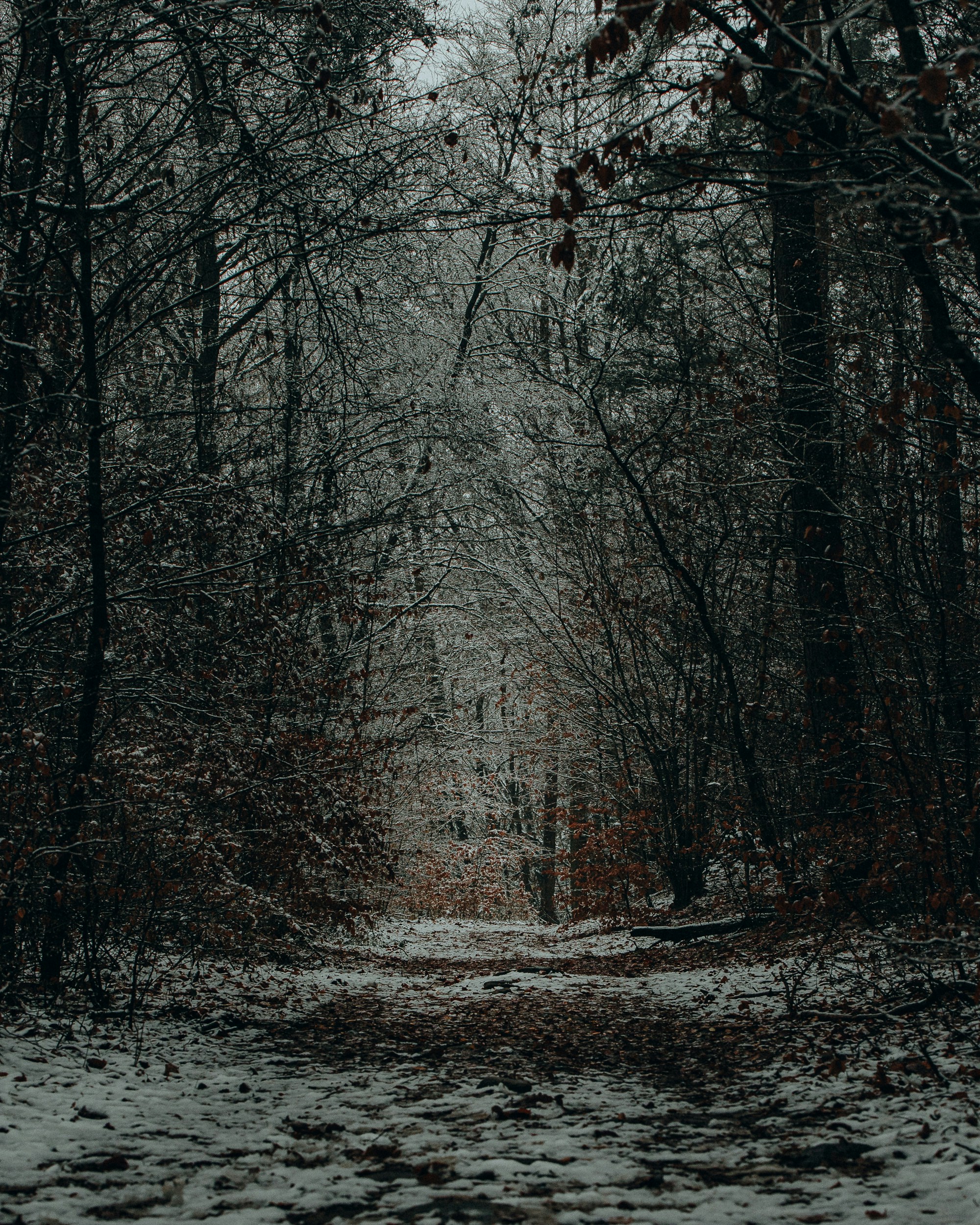 Photo by michaeloeser