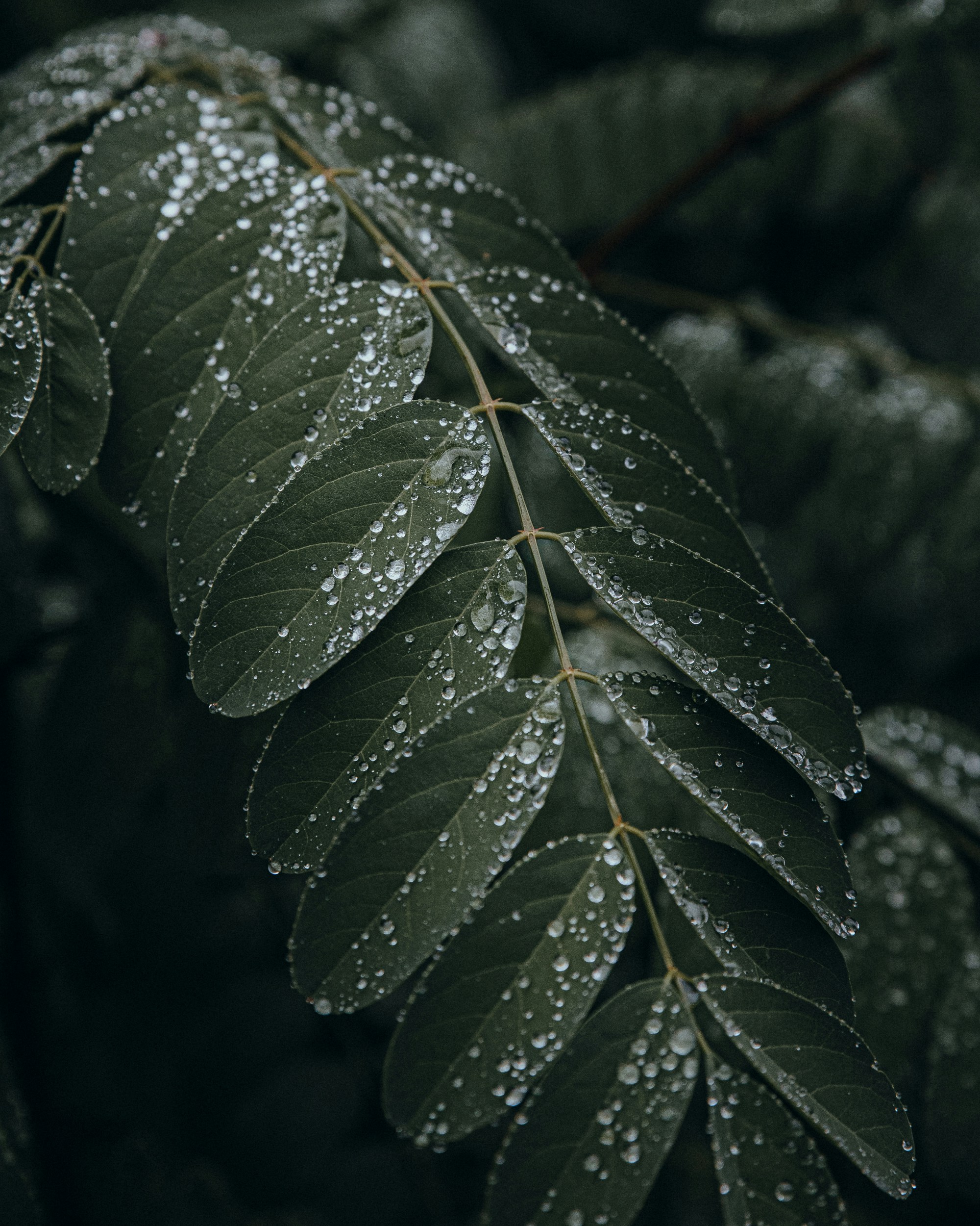 Photo by michaeloeser