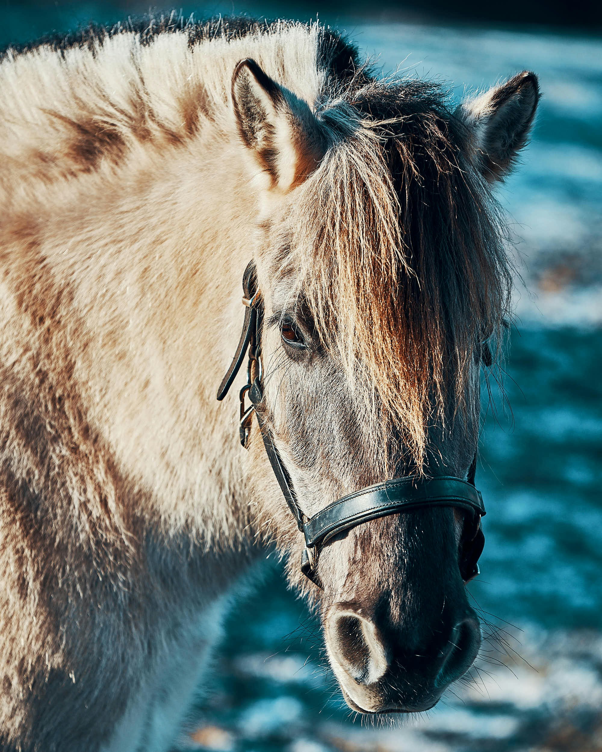 Photo by michaeloeser