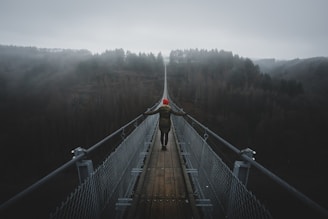 brown wooden bridge over the river