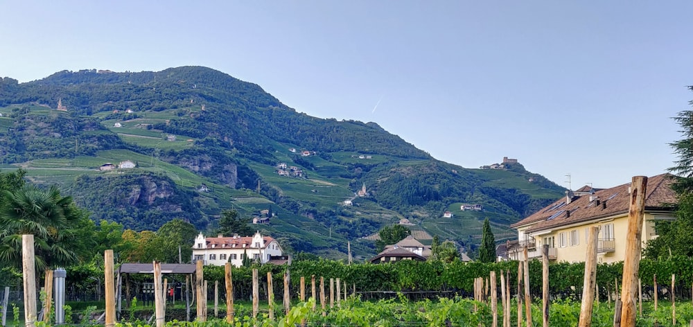 Weißes und braunes Haus in der Nähe von Green Mountains tagsüber