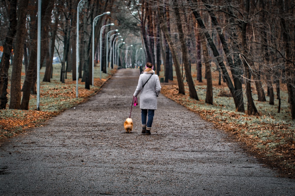 Mujer con abrigo gris caminando por el camino con el perro durante el día