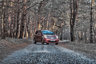 red car on road between trees during daytime
