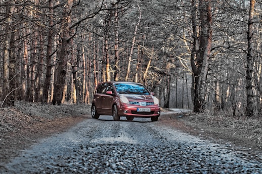 red car on road between trees during daytime