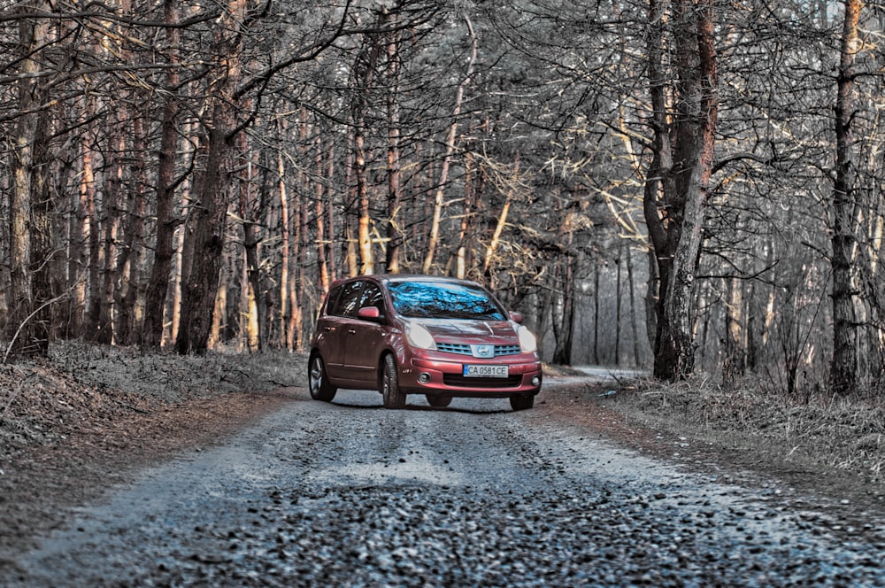 red car on road between trees during daytime