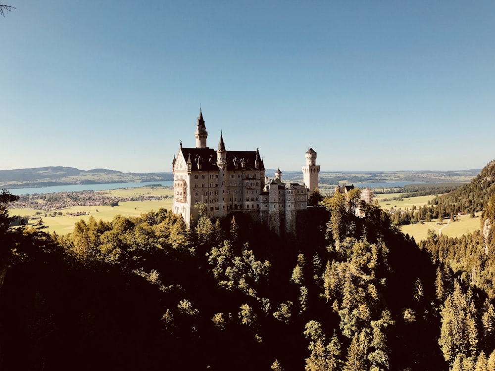 gray concrete castle on top of hill during daytime